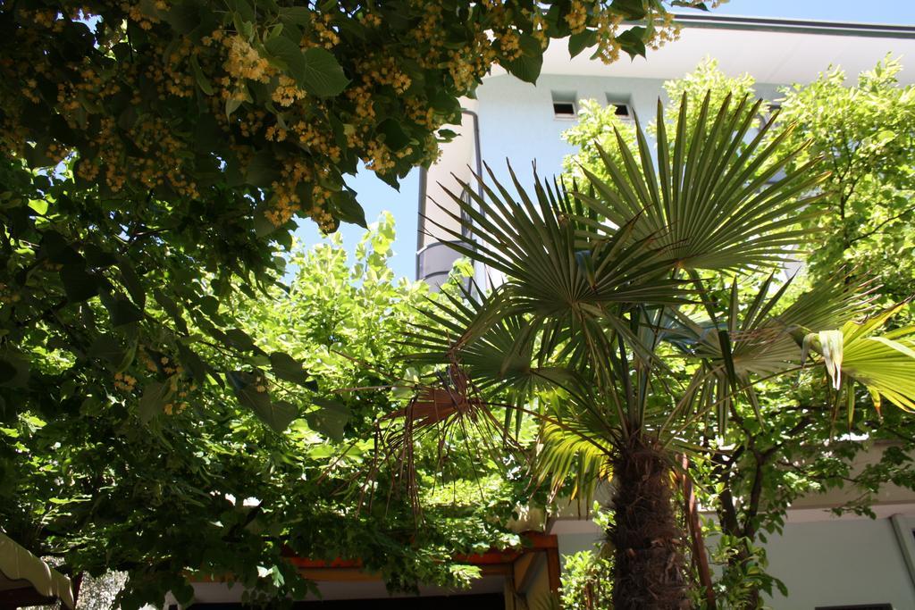 Hotel Villa Dei Gerani Rimini Exteriér fotografie
